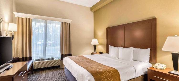 哥伦比亚门户舒适套房酒店(Comfort Suites Columbia Gateway)图片