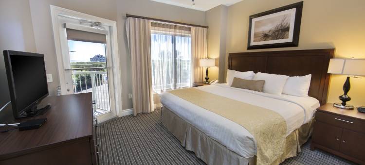 加尔维斯顿海滩度假村假日俱乐部度假酒店(Holiday Inn Club Vacations Galveston Beach Resort)图片