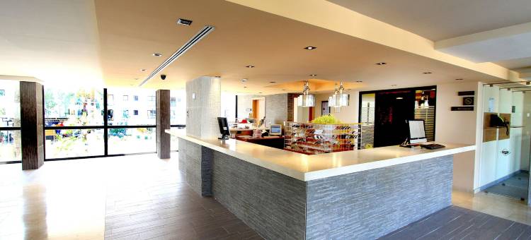 普罗图尔帕梅拉斯海滩酒店 - 全包式(Protur Palmeras Playa Hotel - All Inclusive)图片