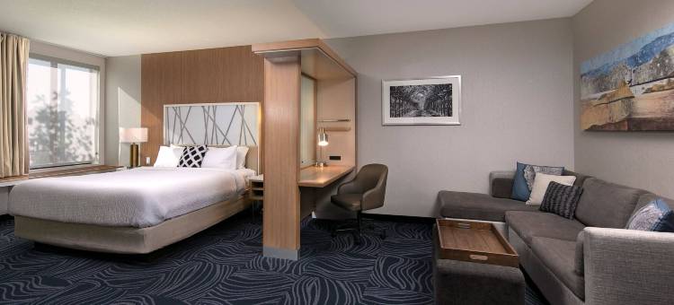 阿塔斯卡德罗SpringHill Suites酒店(SpringHill Suites Paso Robles Atascadero)图片