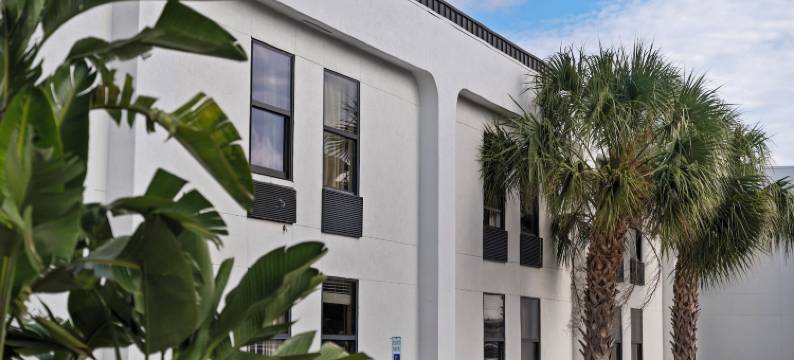 奥兰多棕榈树酒店(Orlando Palms)图片