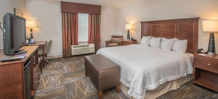 希尔顿欢朋套房酒店-德克萨斯州塞尔玛圣安东尼奥兰多夫空军基地(Hampton Inn & Suites Selma-San Antonio-Randolph AFB Texas)图片