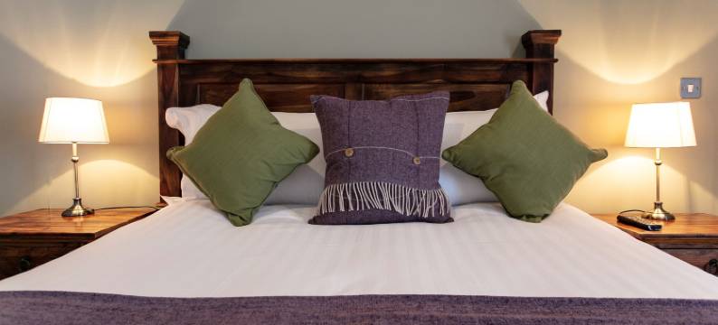 康格雷斯伯里阿姆斯酒店(The Congresbury Arms)图片