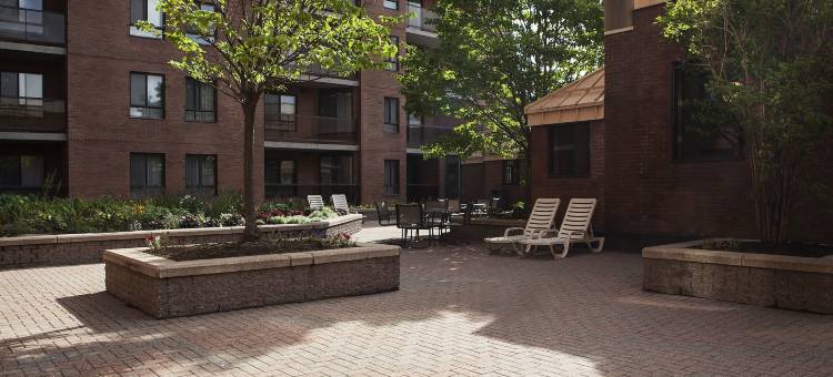 渥太华套房酒店(Les Suites Hotel Ottawa)图片