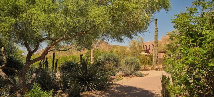 北特伦斯科特斯德四季度假村酒店(Four Seasons Resort Scottsdale at Troon North)图片