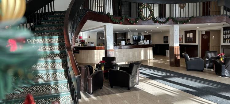 伦敦温德姆华美达酒店(Ramada by Wyndham London)图片