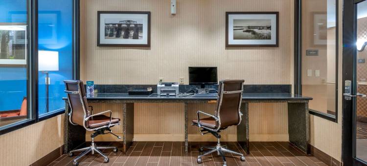 博福特-近帕里斯岛舒适套房酒店(Comfort Suites Near Mcas Beaufort)图片