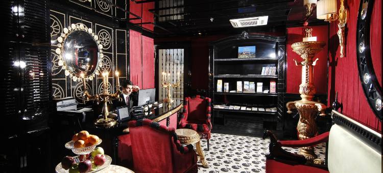 普雷米斯特酒店(Premist Hotels Sultanahmet)图片