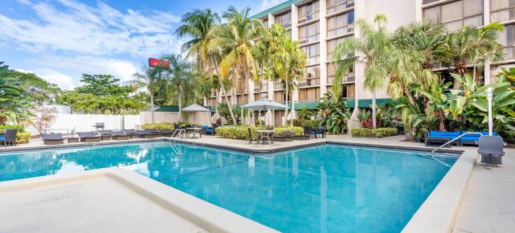 88帕尔姆斯霍特尔 & 伊文特森特尔(88 Palms Hotel & Event Center)图片