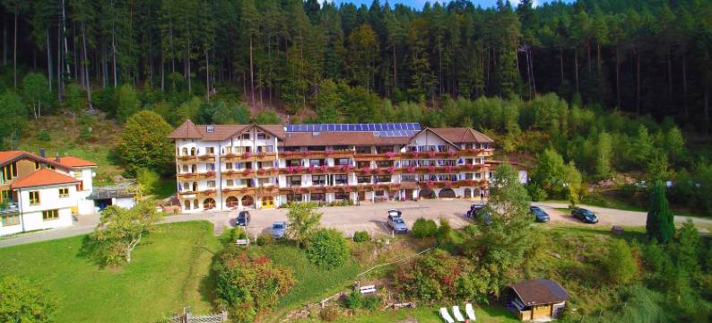 巴斯勒尔霍夫乡村酒店(Landhotel Basler Hof)图片