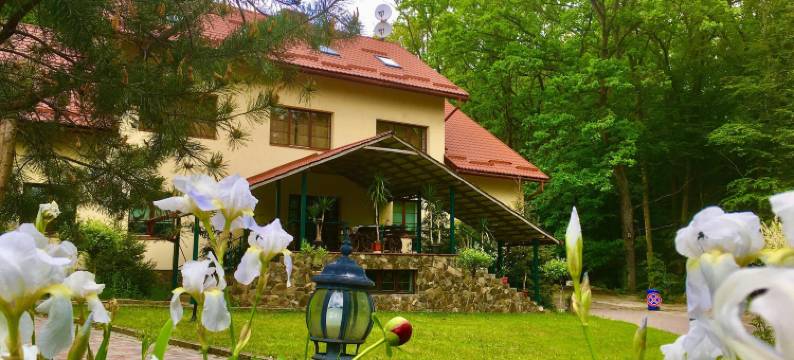 杜比基酒店(Dubky Hotel)图片