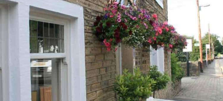 橄榄树分馆旅馆(The Olive Branch Inn)图片