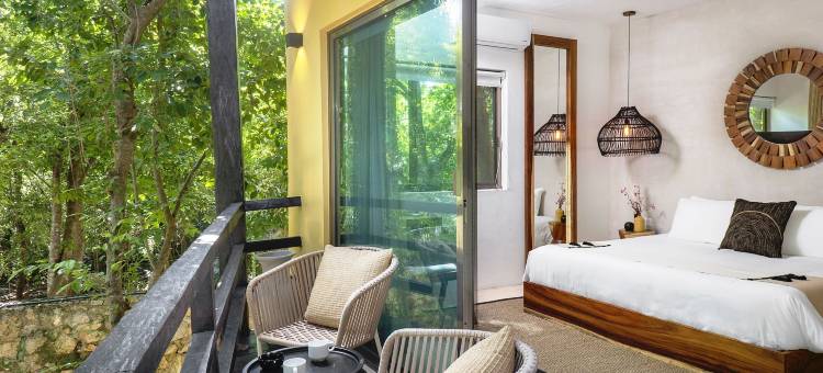 特拉苏里维埃拉玛雅酒店&水疗中心，位于斯卡雷特(Terasu Riviera Maya Hotel & Spa, en Xcaret)图片