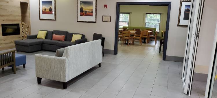 佐治亚丽怡套房酒店布福德佐治亚州购物中心(Country Inn & Suites by Radisson, Buford at Mall of Georgia, GA)图片
