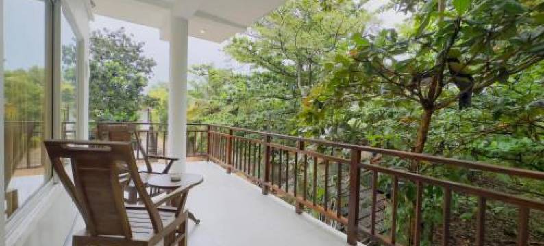 新湾酒店(Neo Bay Hotel)图片