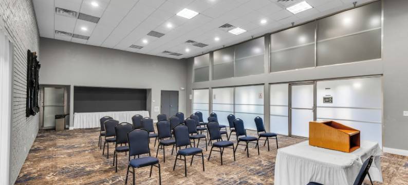 东湖套房(Eastlake Suites Hotel & Conference Center by OYO Urbana)图片