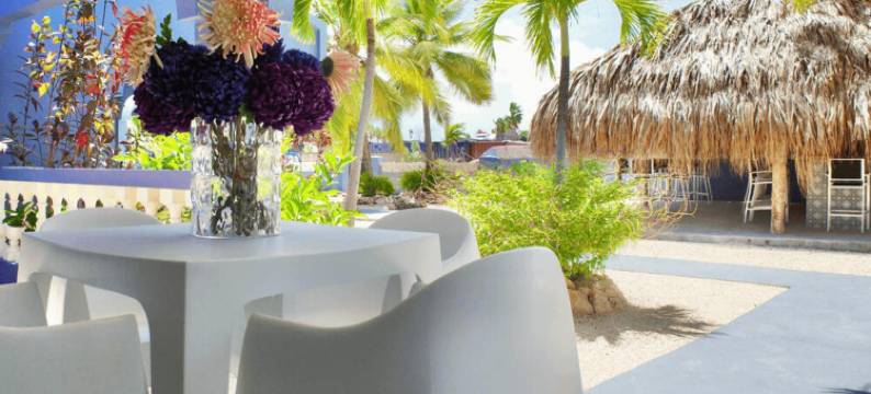 蓝色Bonaire度假村(Blue Bonaire by Boutique Bonaire Unique Resorts)图片