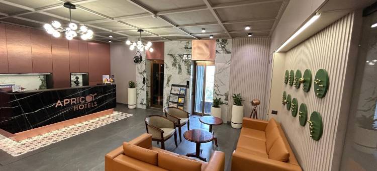 莫特拉杏子酒店(Apricot Motera)图片