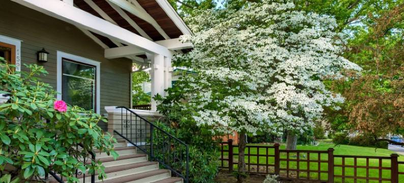 金铃花的美人酒店(A Cowslip's Belle Inn)图片