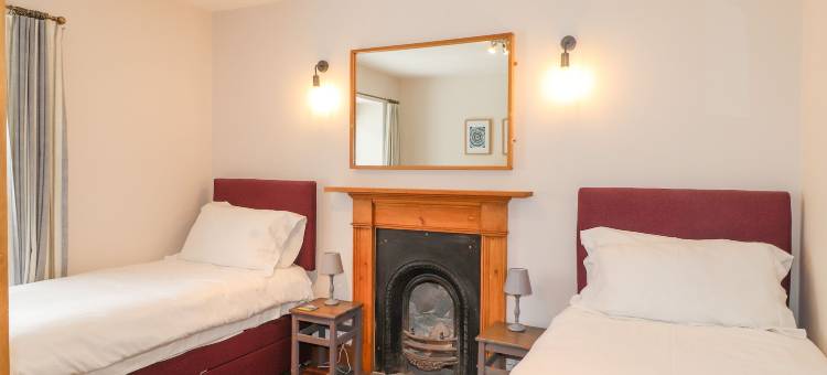 卡诺法(Carnorfa)图片