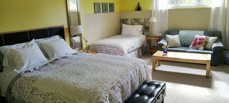欧普斯 74 家庭旅馆(Opus 74 Bed & Breakfast)图片