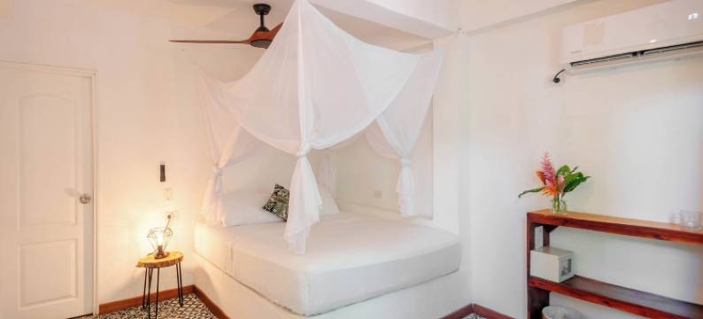 皇家孔雀之家精品酒店(Casa del Pavo Real Boutique Hotel)图片