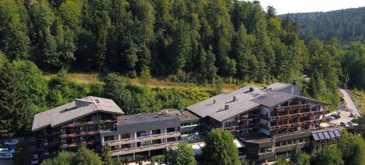 蒙施瓦德林酒店(Ringhotel Mönch`s Waldhotel)图片