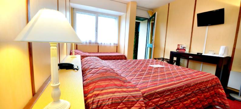 银狮与皮革酒店(Logis Hôtel Restaurant du Lion d'Argent Et des Tanneries)图片