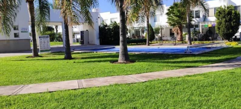 劳雷尔房子(Casa Laurel)图片