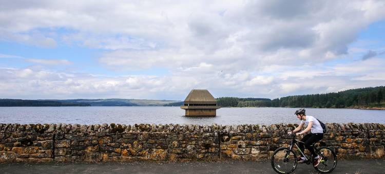 普赛特旅馆(The Pheasant Inn)图片