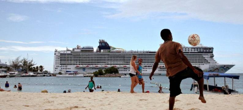 春季棕榈庄园(Spring Palm Estate)图片