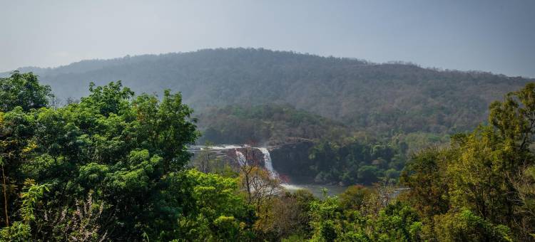 Flora Misty Falls Athirappilly图片