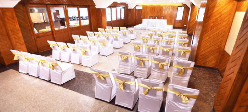 毗湿奴宫酒店(Hotel Vishnu Palace)图片