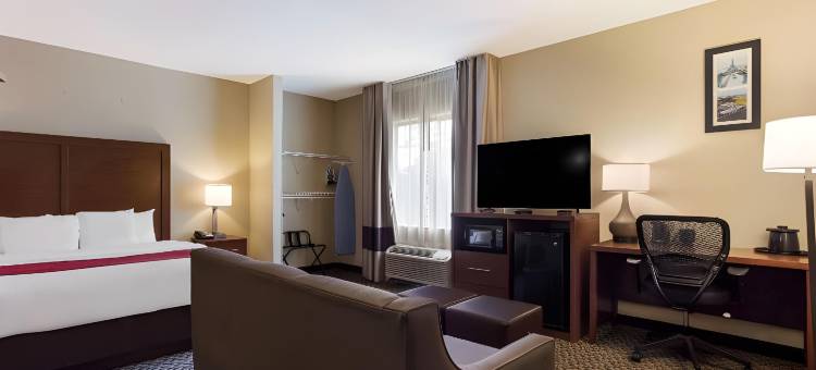 北莫比尔舒适套房酒店(Comfort Suites North Mobile)图片