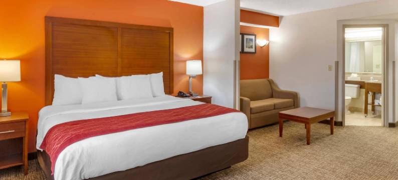 格林斯伯勒克纳斯维尔舒适酒店(Comfort Inn Greensboro - Kernersville)图片