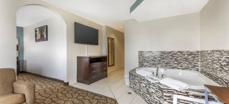 乔利埃特贝斯特韦斯特套房酒店(Best Western Joliet Inn  Suites)图片