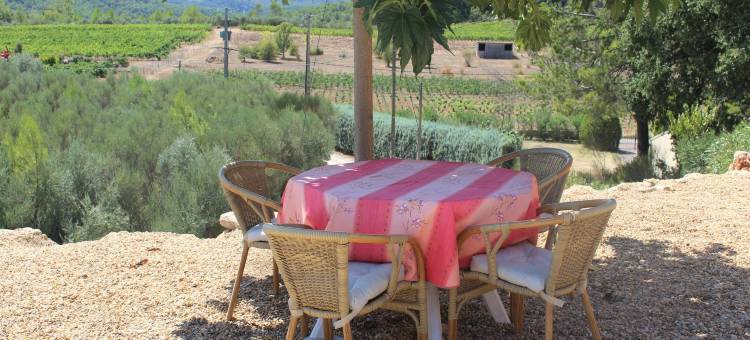 Villa in Provence with Pool and Vineyard Views图片