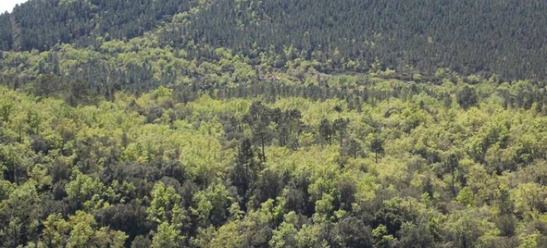 Villa in Bagnols with Pool & Near Nature Parks图片