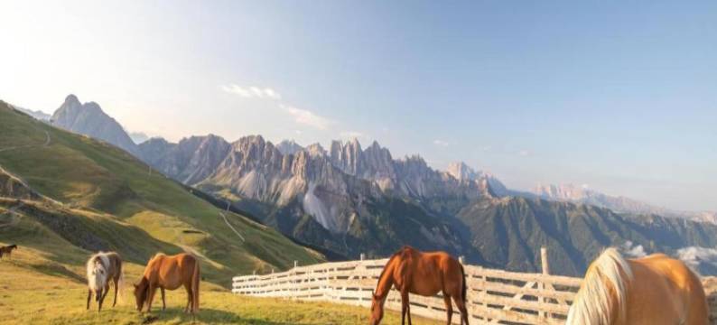 Modern Apartment, Bressanone图片