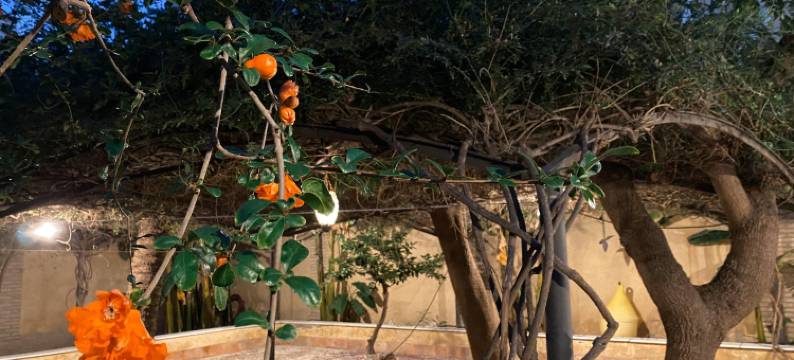 Villa in Cuevas de Almanzora图片