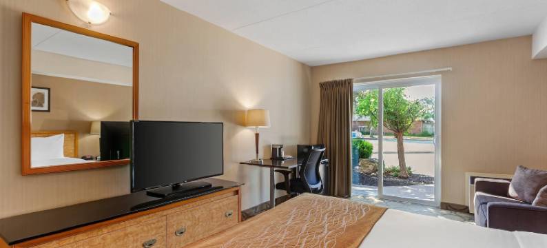 舒适酒店(Comfort Inn)图片