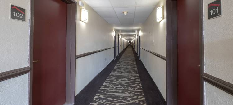 沃伦顿红屋顶酒店(Red Roof Inn Warrenton)图片