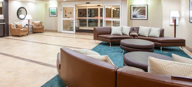 休斯敦-帕萨迪纳Candlewood Suites(Candlewood Suites Houston - Pasadena)图片