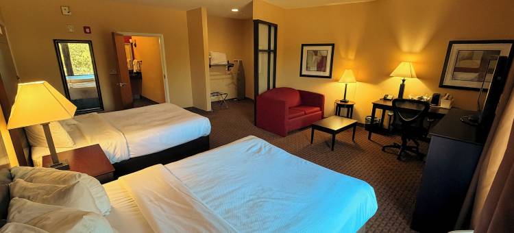 舒适套房酒店-黄金群岛(Comfort Suites Golden Isles Gateway)图片