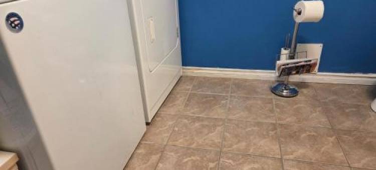 L ' Arlequin,Suite et Logement图片