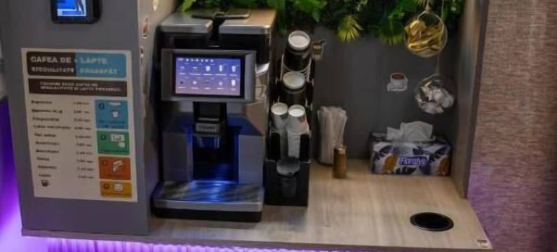 亚历山德罗的蒙特尼亚斯卡之家(Casa Muntenească Alessandro)图片