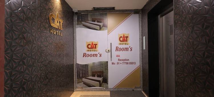 猫酒店(Hotel Cat)图片