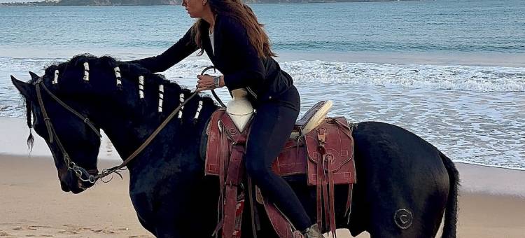 梅拉克特马斯克庄园酒店(Hotel Hacienda de Melaque)图片