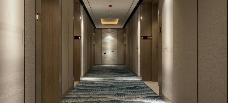 岘港万豪行政公寓，韩江(Marriott Executive Apartments Danang, Han River)图片