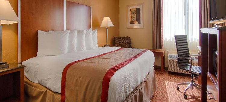 劳德代尔堡I-95贝斯特韦斯特酒店(Best Western Ft. Lauderdale I-95 Inn)图片